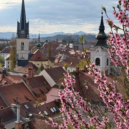 Old Town Story *